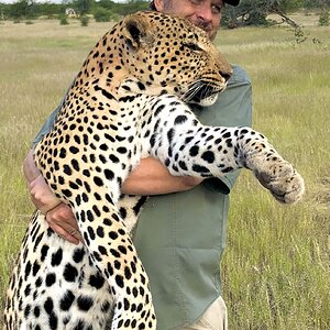 Hunting Leopard Namibia