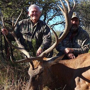 Free-range red stag MG Hunting