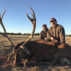 Free-range red stag MG Hunting