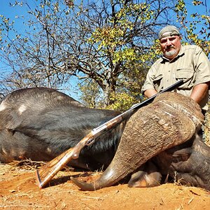 Buffalo Hunting South Africa