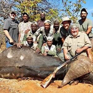 Buffalo Hunting South Africa