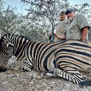 Zebra Hunting South Africa