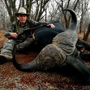 Buffalo Hunt South Africa