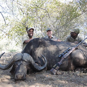 Buffalo Hunt South Africa