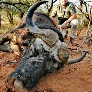 Buffalo Hunt South Africa