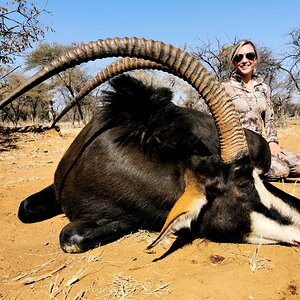 Sable Hunt South Africa