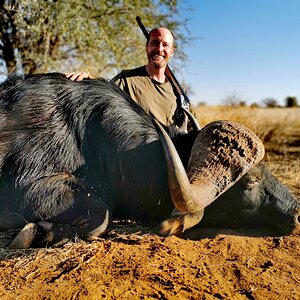 Buffalo Hunt South Africa