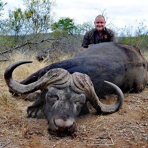 Buffalo Hunt South Africa