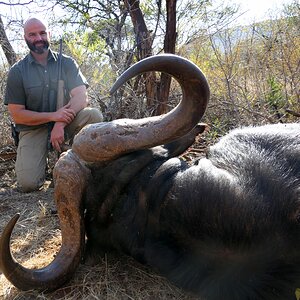 Buffalo Hunt South Africa