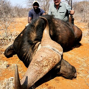 Buffalo Hunt South Africa