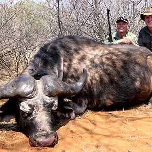 Buffalo Hunt South Africa