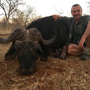 Buffalo Hunt South Africa