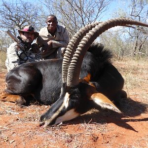 Sable Handgun Hunt South Africa