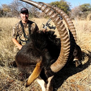 Sable Bow Hunting South Africa