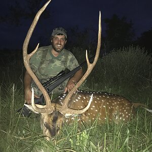 Axis Deer Hunting Argentina