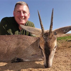 Duiker Hunting South Africa