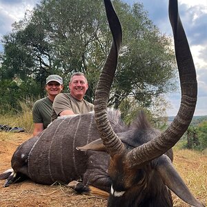 Nyala Hunting South Africa