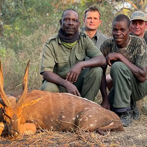 Bushbuck Hunt Zimbabwe