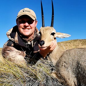 Vaal Rhebok Hunting South Africa