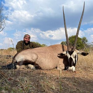 Oryx Hunt Limpopo South Africa