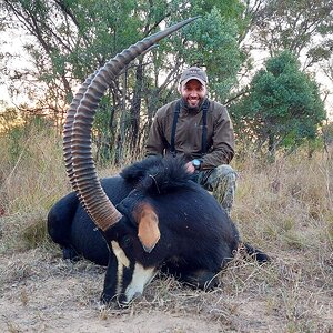 Sable Hunt Limpopo South Africa