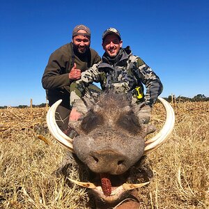 14.5' RW Warthog Limpopo South Africa