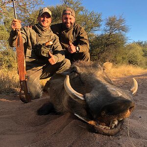 Warthog Hunt Limpopo South Africa