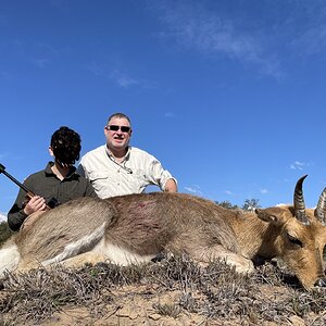 Mountain Reedbuck Hunt South Africa