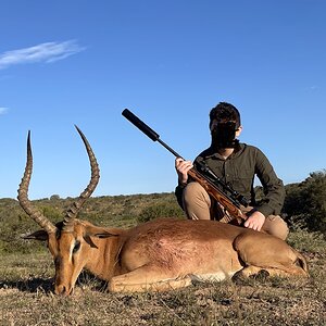 Impala Hunt South Africa