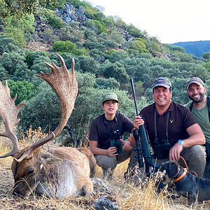 Fallow Deer Hunt in Spain