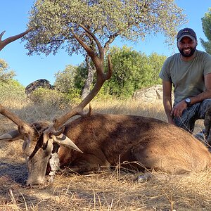 Stag Hunt in Spain