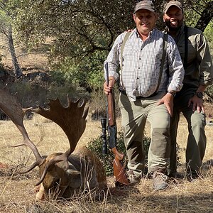 Fallow Deer Hunt in Spain