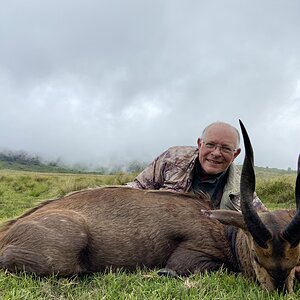 Bushbuck Hunting Tanzania