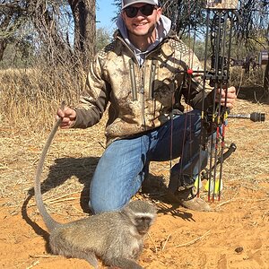 Vervet Monkey Bow Hunting South Africa