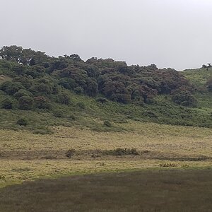 Tanzania Landscape