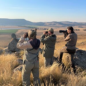 Glassing for Reedbuck South Africa