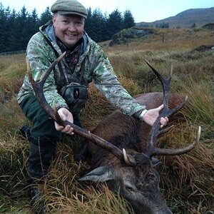 Red Deer Hunting Scottland