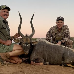 Nyala Hunt South Africa