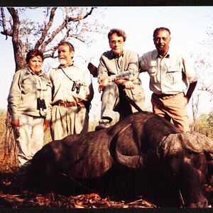 Buffalo Hunting