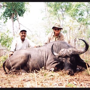 Buffalo Hunting