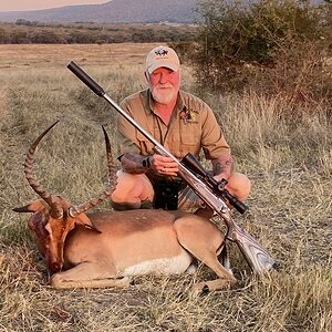 Impala Hunt South Africa