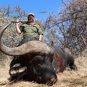 Buffalo Hunting South Africa