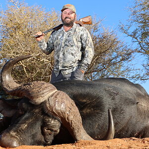 Buffalo Hunting South Africa