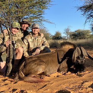 Black Wildebeest Hunting South Africa