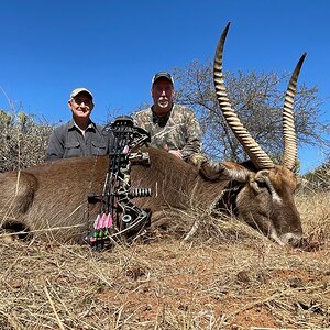 Waterbuck Bow Hunting South Africa