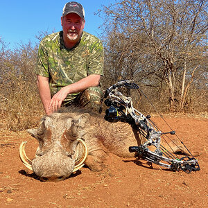 Warthog Bow Hunting South Africa