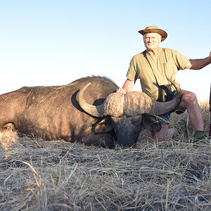 Buffalo Hunting South Africa