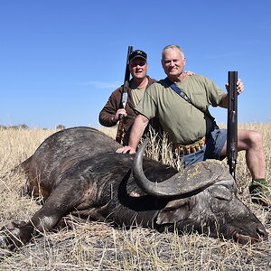 Buffalo Hunting South Africa