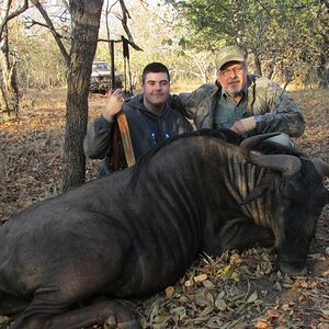 Blue Wildebeest Hunt South Africa