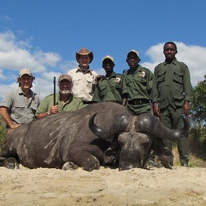 Buffalo Hunting Tanzania